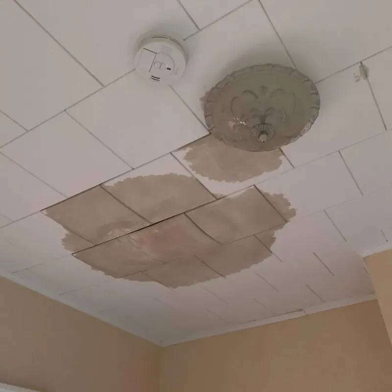Ceiling Water Damage Repair in Falconer, NY