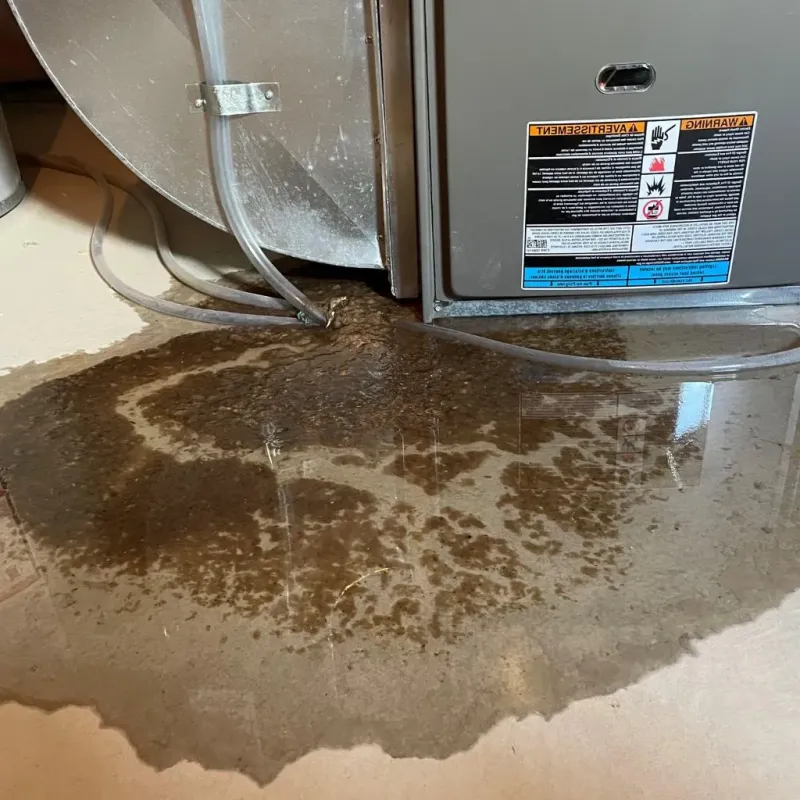 Pipe Burst and Leak Restoration in Falconer, NY