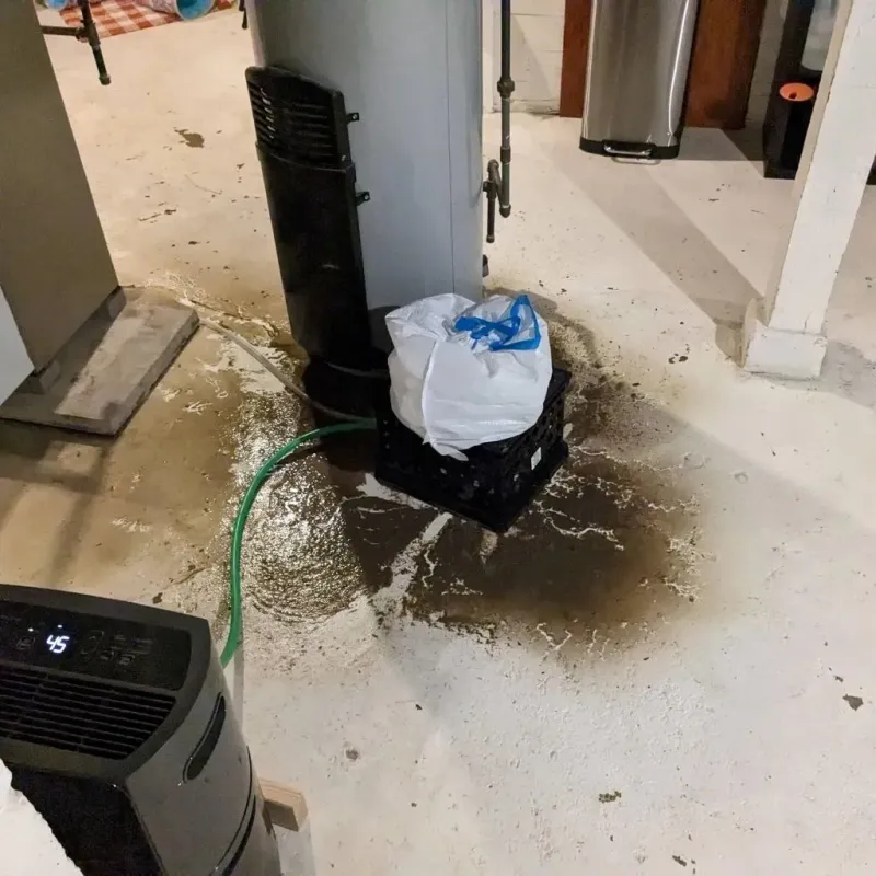 Sewage Backup Cleanup Service in Falconer, NY